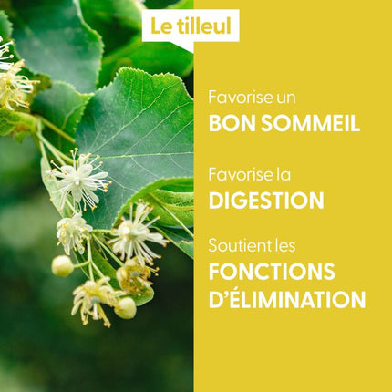 Tilleul 15ml - Macérât de bourgeons bio