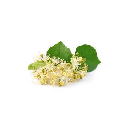 Tilleul 15ml - Macérât de bourgeons bio