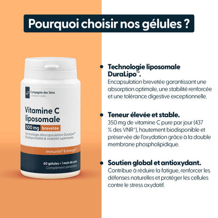 Vitamine C liposomale DuraLipo™ 500 mg - Biodisponibilité supérieure