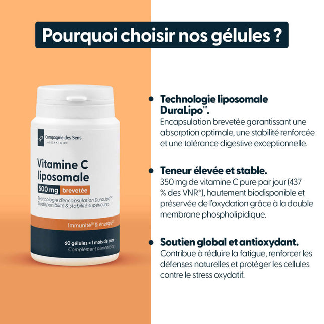 Vitamine C liposomale DuraLipo™ 500 mg - Biodisponibilité supérieure